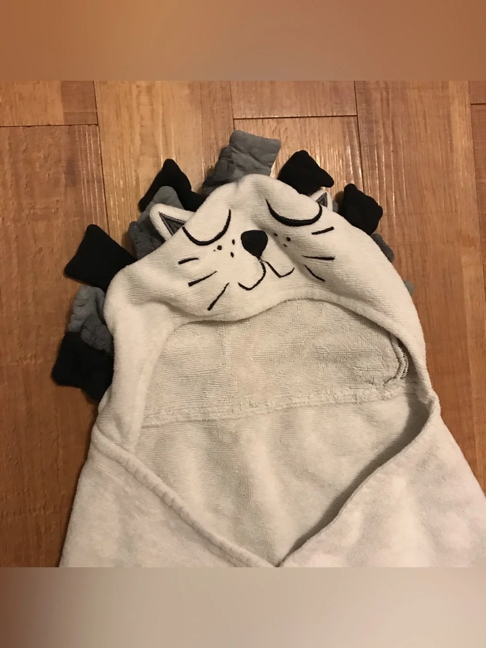 Pottery Barn Kids X Emily Meritt Lion Bath Beach Hooded Towel